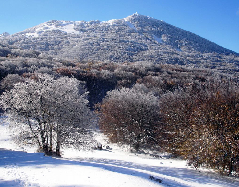 Nella foto Piano Battaglia, sulle Madonie