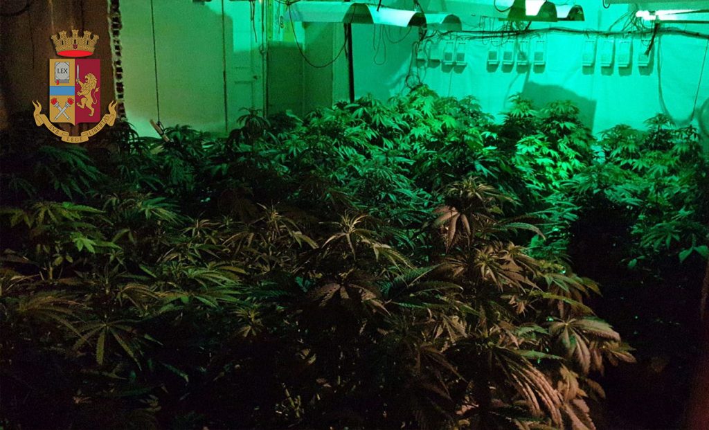 serra indoor marijuana in via Baida a Palermo