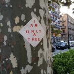 alberi-platani-via libertà