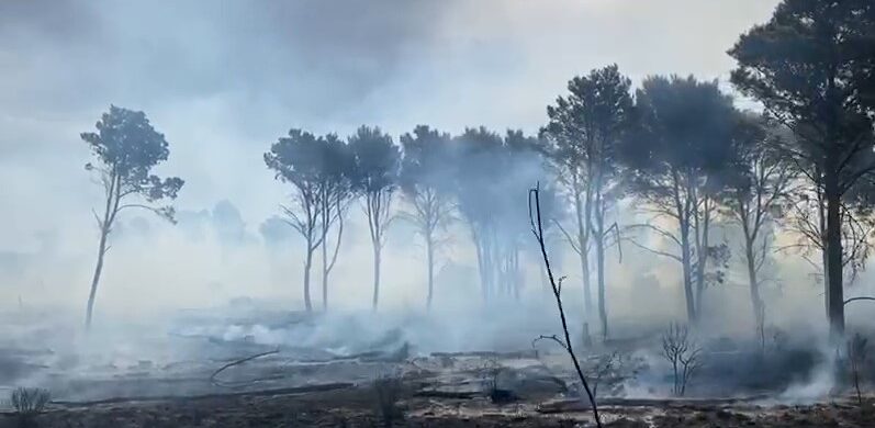 Incendio al bosco del Magaggiaro