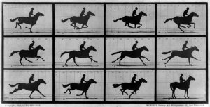 The_Horse_in_Motion