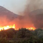 Torna alle modificheIncendio a Castronovo di Sicilia