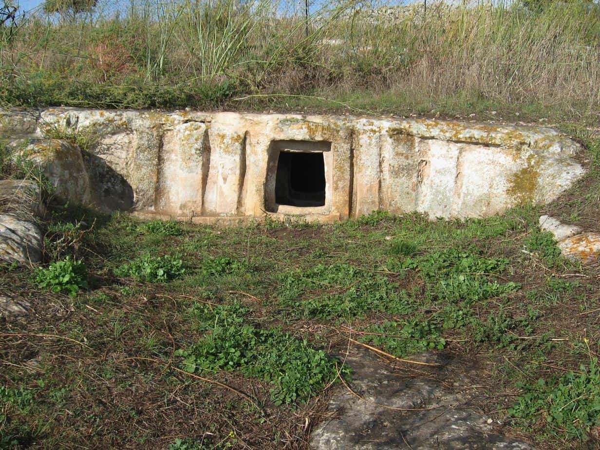 Area archeologica di Baravitalla-Tomba del Principe