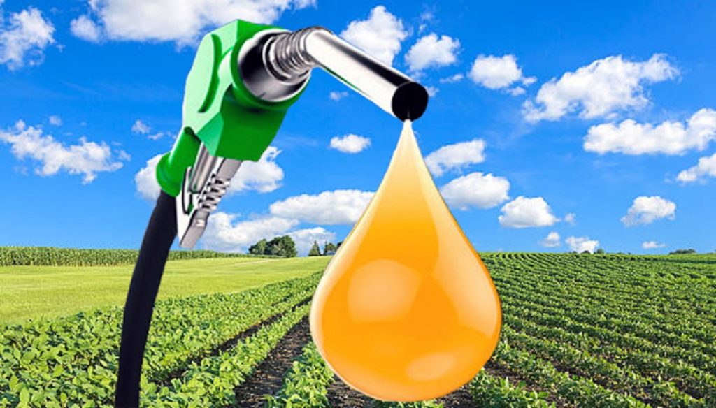 biodiesel, biocarburanti, rinnovabili