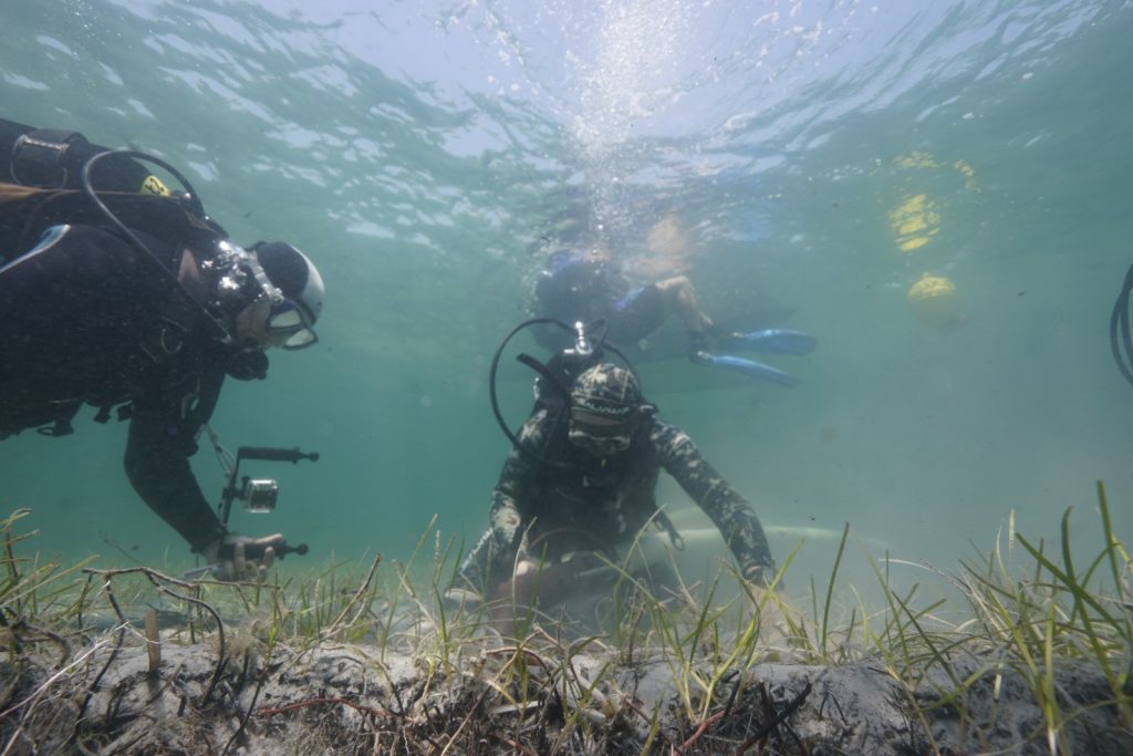 sub-diving-immersioni-relitto