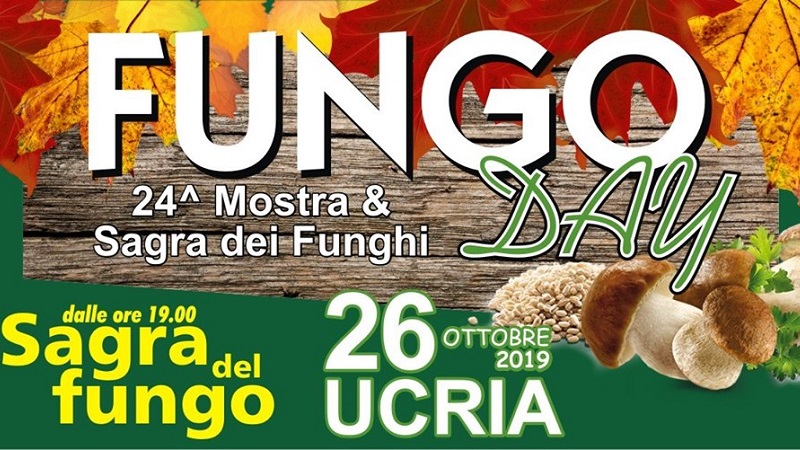 Fungo-Day-Ucria