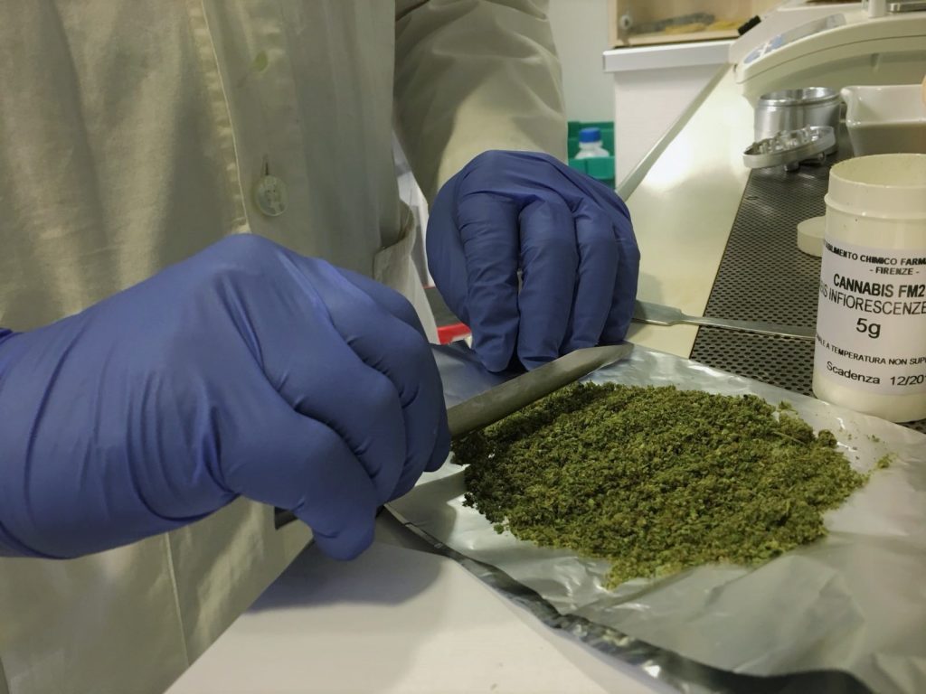 Laboratorio galenico, preparazione della cannabis terapeutica