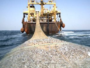 pesca a strascico