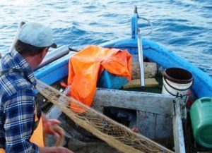 pesca