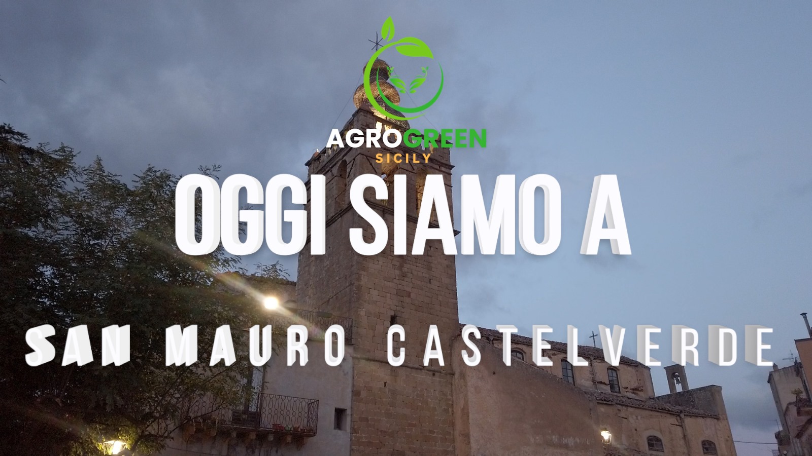 Gli Ulivi Pi Antichi Della Sicilia Agrogreen Sicily Vi Racconta San Mauro Castelverde Clicca