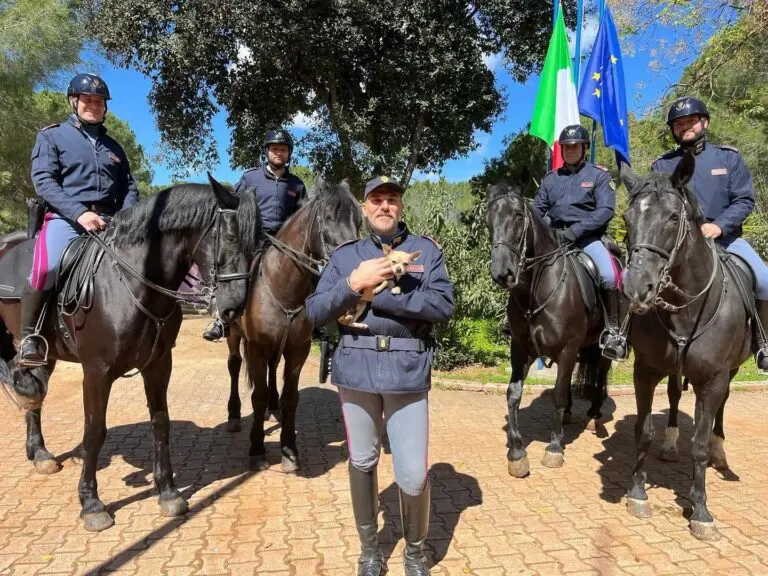 Squadra a cavallo della Polizia