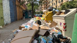 Rifiuti nei pressi della struttura Recopet, via Rocco Jemma, Palermo