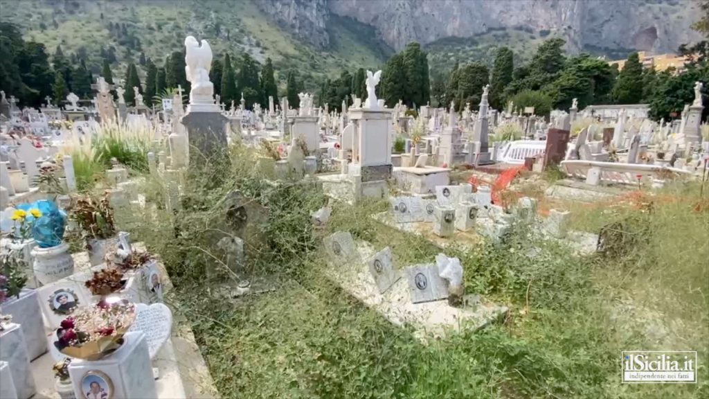 Erbacce fra le sepolture del cimitero dei Rotoli, Palermo