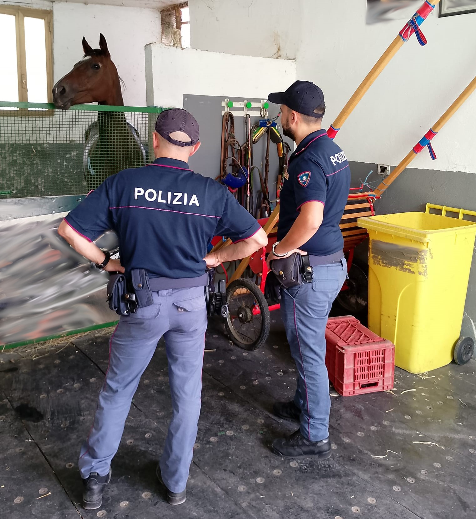 Targa con per stalla per cavalli, regalo, decorazione