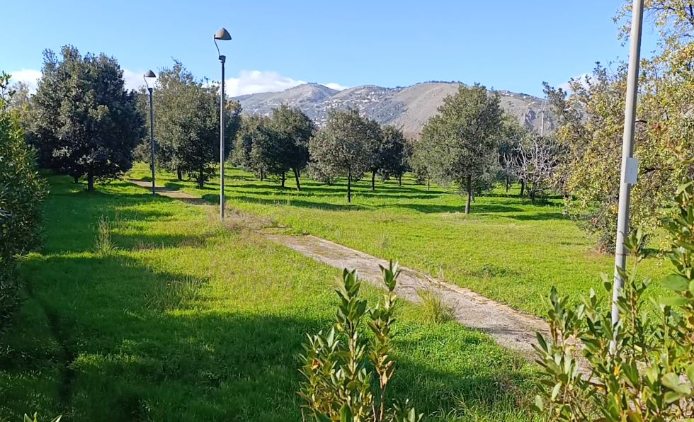 Parco Cassarà, Palermo 2