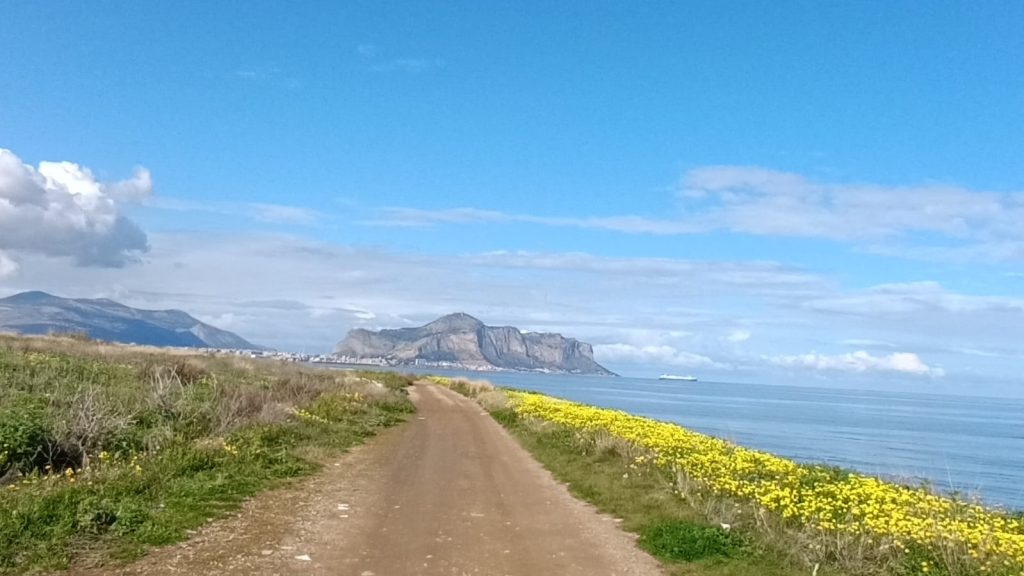 Parco Libero Grassi, Palermo