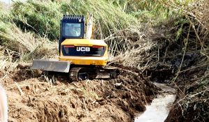 Bobcat in azione al parco Libero Grassi