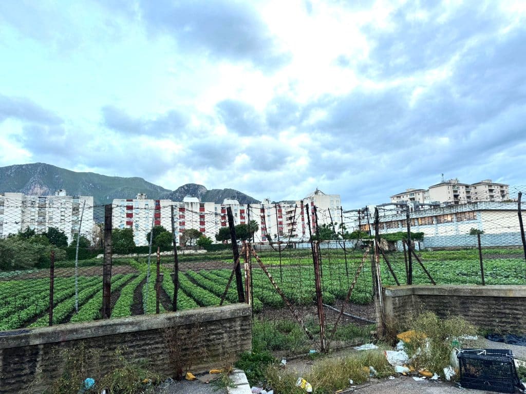 Via Di Vittorio, Sperone, Palermo, campo sportivo fondi ex Gescal