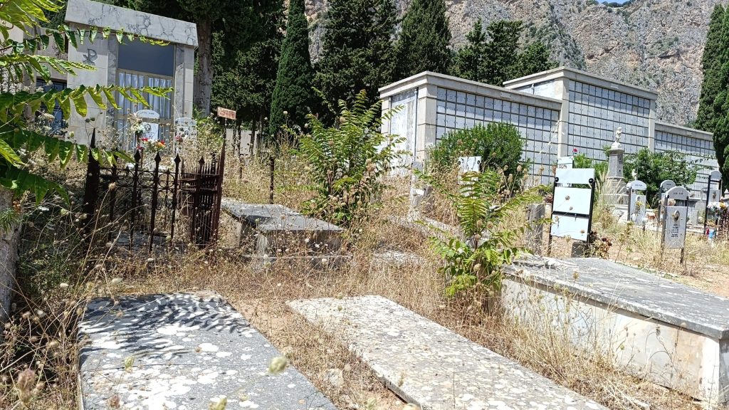Erbacce al cimitero dei Rotoli, Palermo