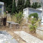 Erbacce al cimitero dei Rotoli, Palermo