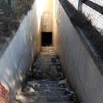 Passaggi pedonali viale Regione Siciliana