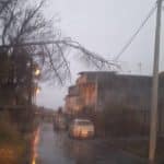Boccadifalco, SP57, albero caduto, maltempo Palermo