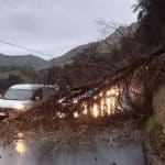 Boccadifalco, SP57, albero caduto, maltempo Palermo
