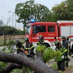 Via Kolbe, albero caduto, maltempo Palermo, intervento dei vigili del fuoco