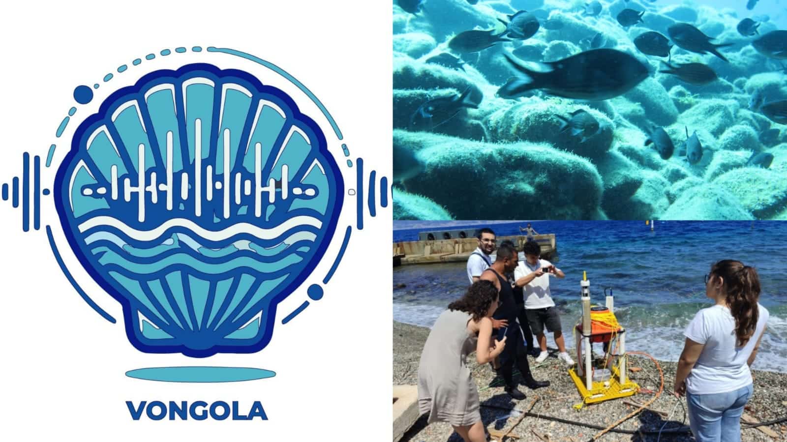 Intelligenza Artificiale e sensori per "ascoltare" il mare: in Sicilia ...