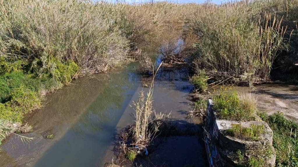 Foce del fiume Oreto vista dal ponte a mare
