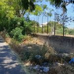Diserbi, erbacce allo Sperone, Palermo