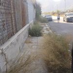 Mancati diserbi al Villaggio Santa Rosalia, Palermo