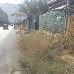Mancati diserbi al Villaggio Santa Rosalia, Palermo